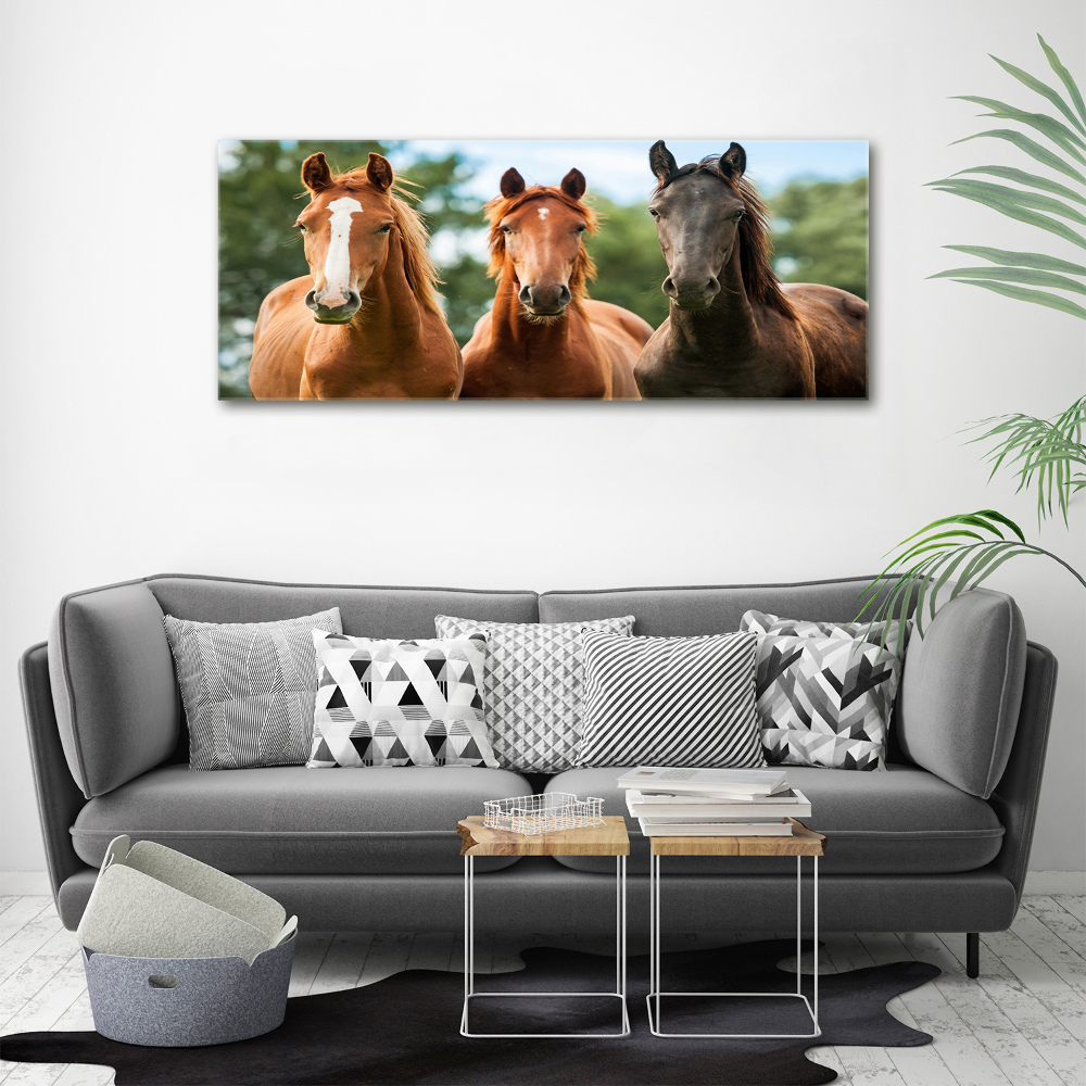 Vászonkép Három lovat