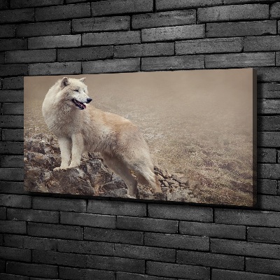 Vászonkép Fehér farkas a rock
