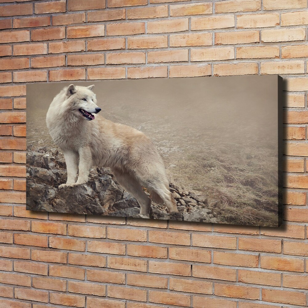 Vászonkép Fehér farkas a rock