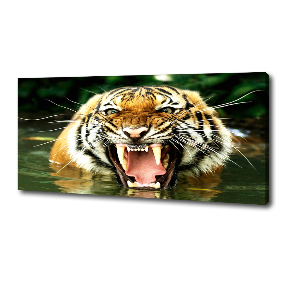 Vászonkép Ordító tigris