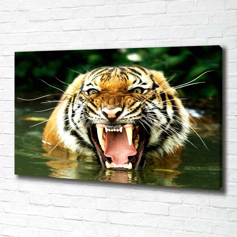 Vászonkép Ordító tigris