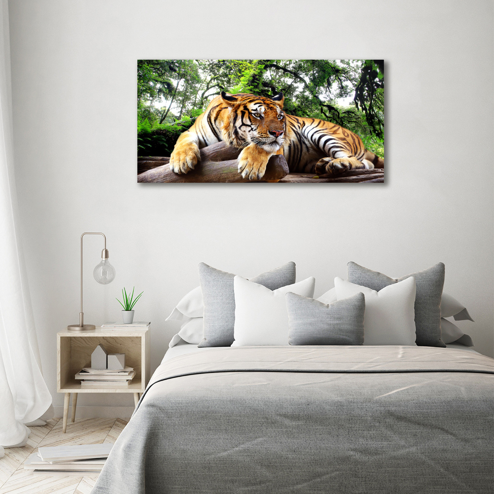 Vászonkép Tiger a rock