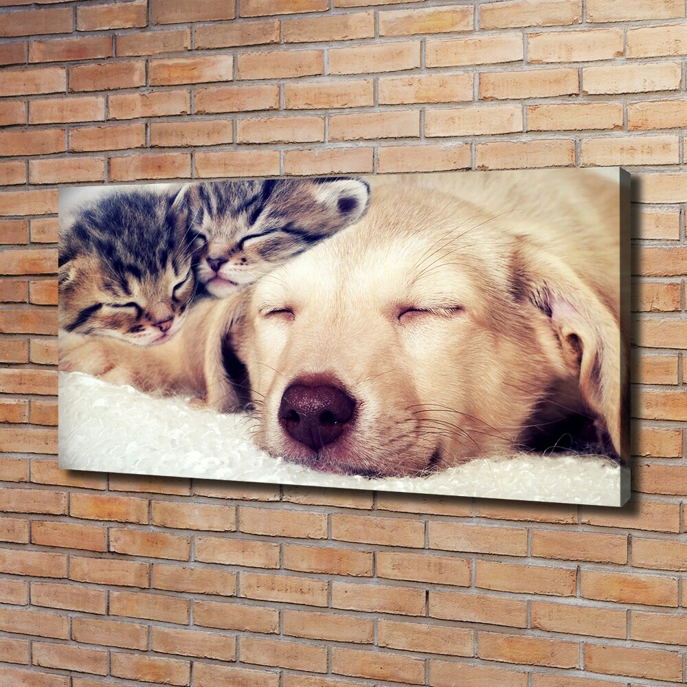 Vászonkép Kölyök és macskák