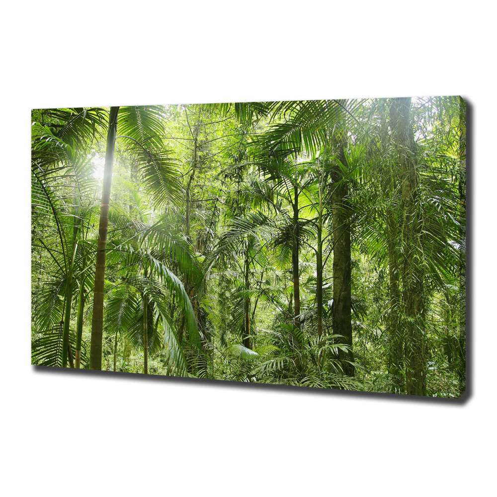 Egyedi vászonkép Trópusi erdő