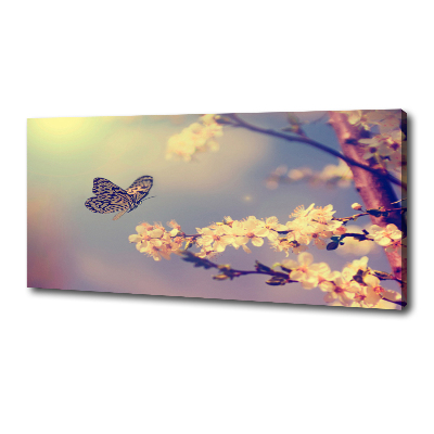 Egyedi vászonkép Cseresznyevirág és a pillangó
