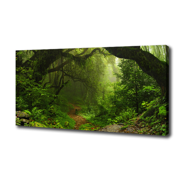 Vászon nyomtatás Jungle nepál