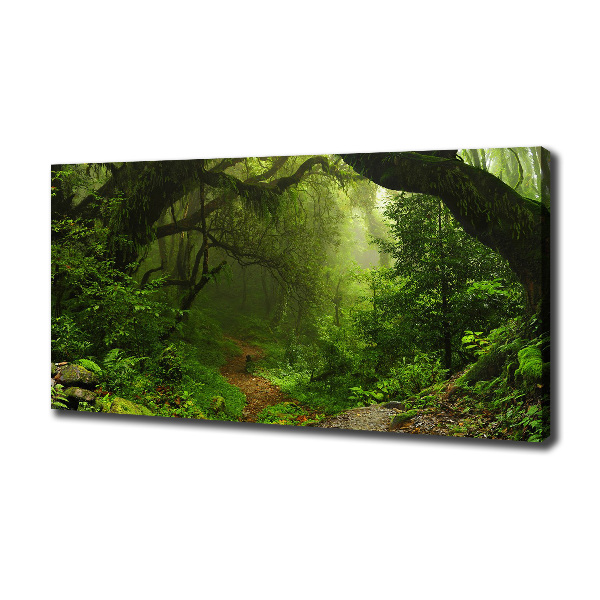Vászon nyomtatás Jungle nepál