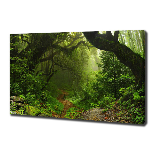 Vászon nyomtatás Jungle nepál