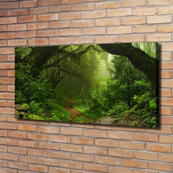 Vászon nyomtatás Jungle nepál