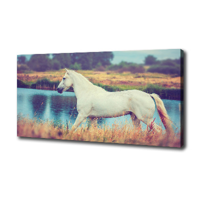 Vászonkép White horse-tó