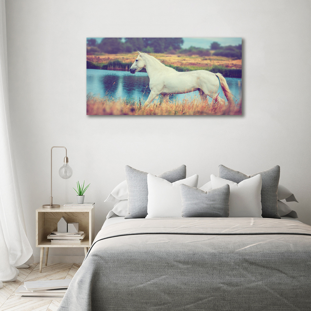 Vászonkép White horse-tó
