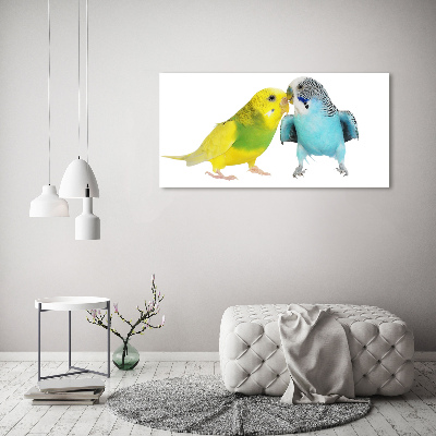 Vászonkép Budgies