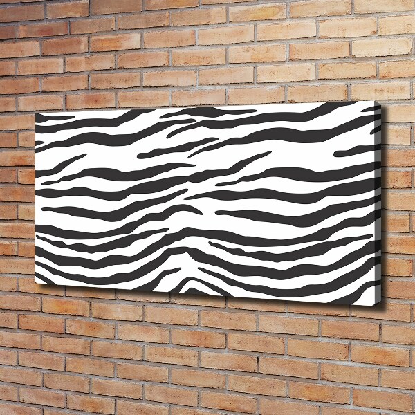 Fénykép vászon Zebra háttér