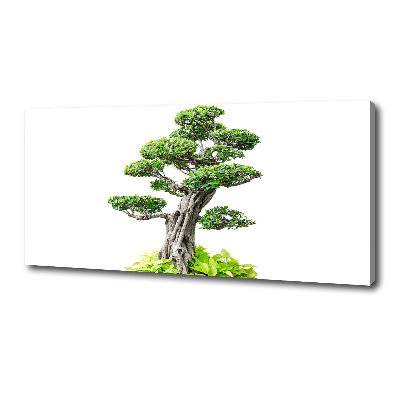 Egyedi vászonkép Bonsai fa
