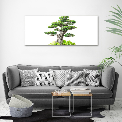 Egyedi vászonkép Bonsai fa