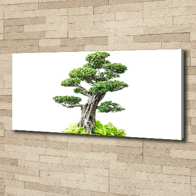 Egyedi vászonkép Bonsai fa