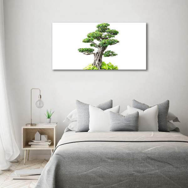 Egyedi vászonkép Bonsai fa