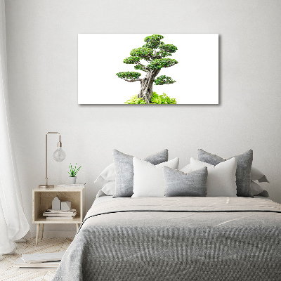 Egyedi vászonkép Bonsai fa