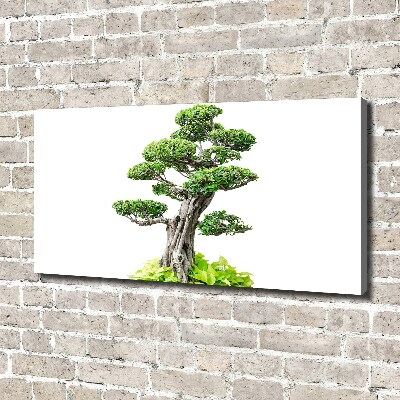 Egyedi vászonkép Bonsai fa