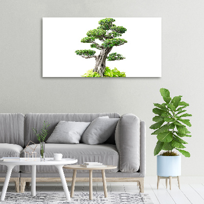 Egyedi vászonkép Bonsai fa