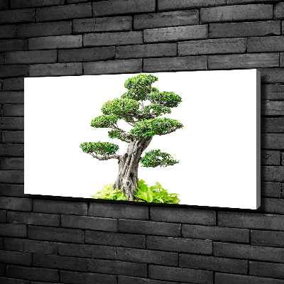 Egyedi vászonkép Bonsai fa
