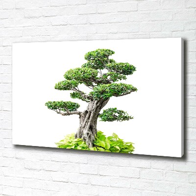 Egyedi vászonkép Bonsai fa