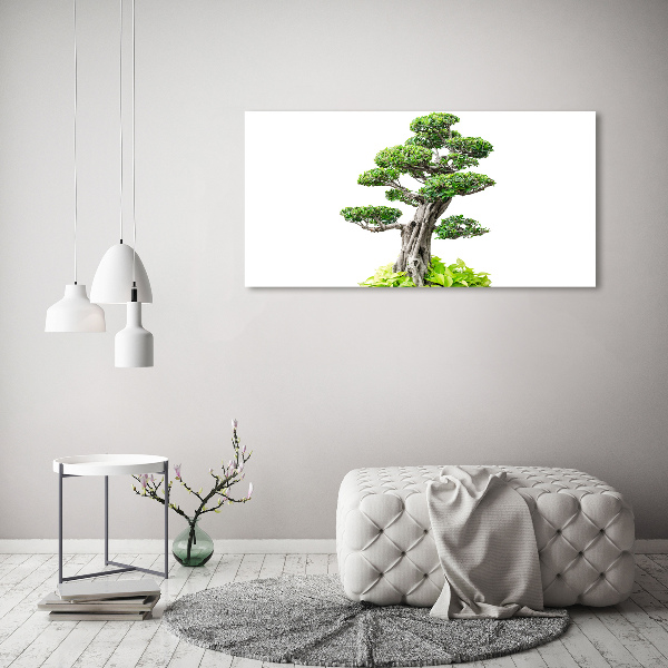 Egyedi vászonkép Bonsai fa