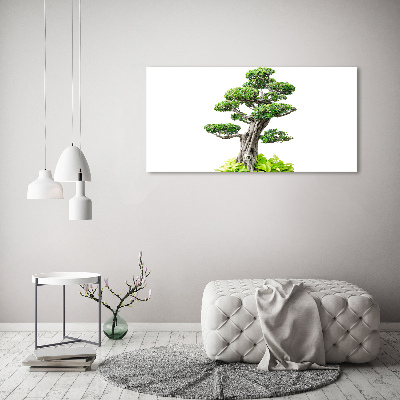 Egyedi vászonkép Bonsai fa