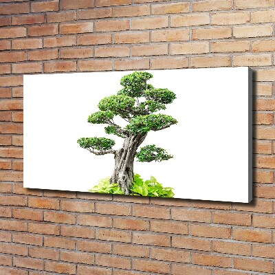 Egyedi vászonkép Bonsai fa