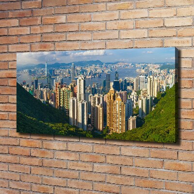 Vászonfotó Hong kong panoráma