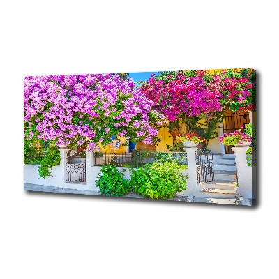 Egyedi vászonkép Ház bougainvillea