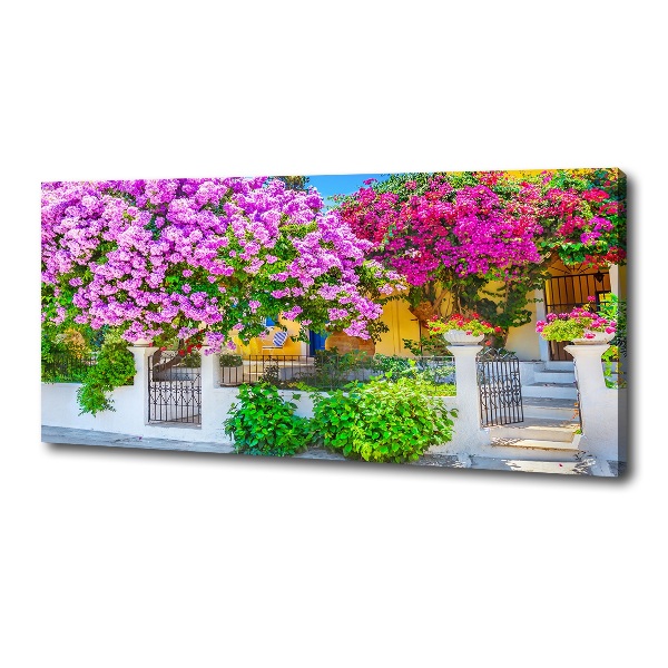 Egyedi vászonkép Ház bougainvillea