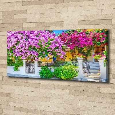 Egyedi vászonkép Ház bougainvillea