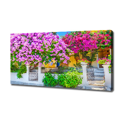 Egyedi vászonkép Ház bougainvillea