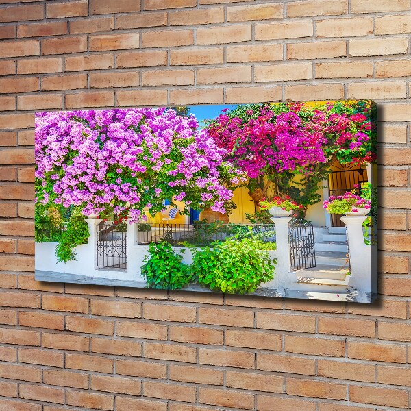 Egyedi vászonkép Ház bougainvillea