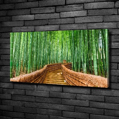 Vászon nyomtatás Bambusz erdő
