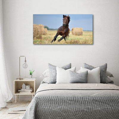 Vászonkép A vágtató ló