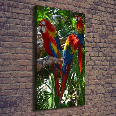Vászonkép Papagájok ara