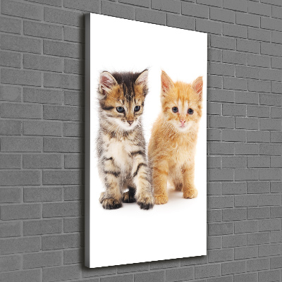 Vászonkép Szürke és vörös macska