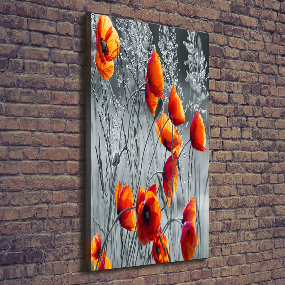 Vászonkép nyomtatás Vadvirágok pipacsok