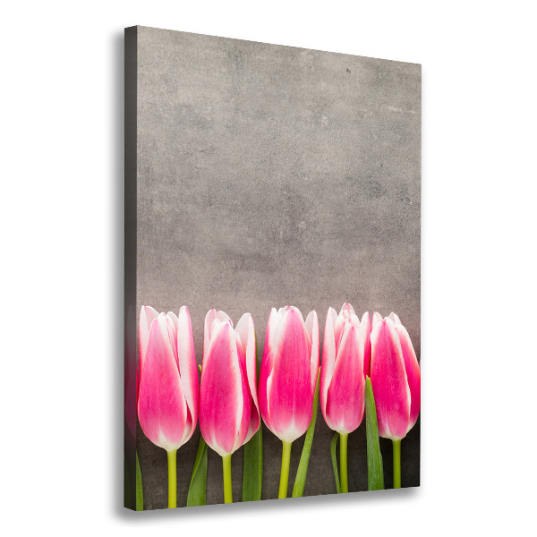 Vászonkép nyomtatás Rózsaszín tulipánok