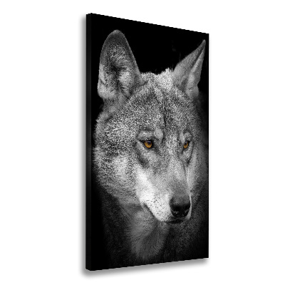 Vászonkép Portré a farkas