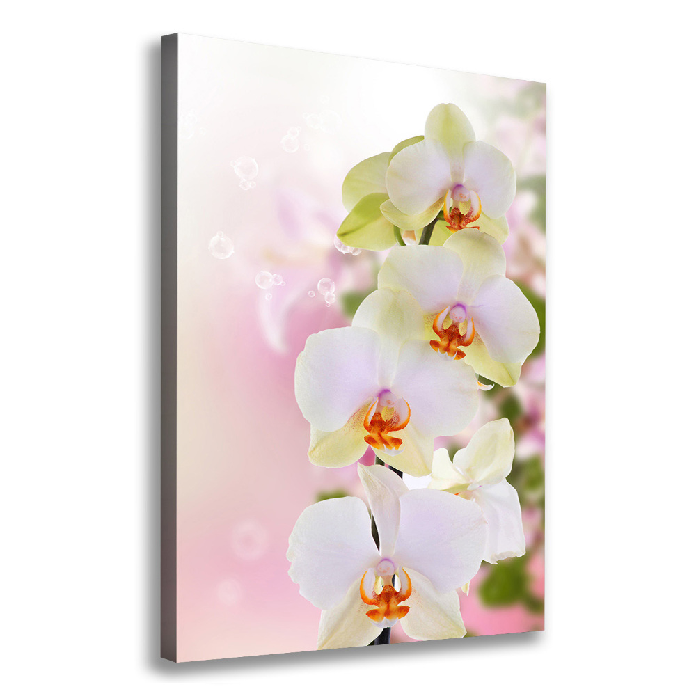 Vászonkép nyomtatás Fehér orchidea