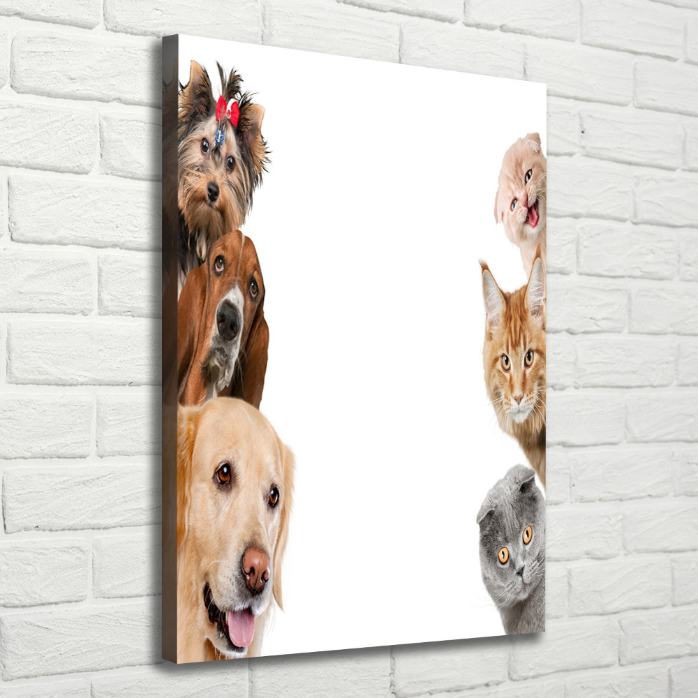 Vászonkép Kutyák és macskák