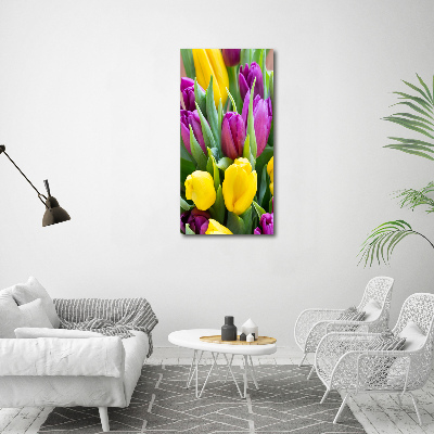 Vászonkép nyomtatás Színes tulipán