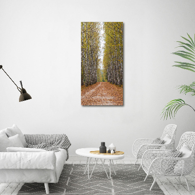 Feszített vászonkép Nyírfa erdő