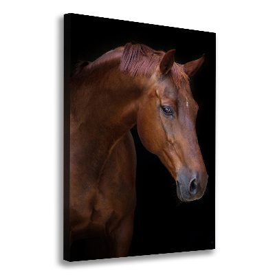 Vászonkép Portré egy ló