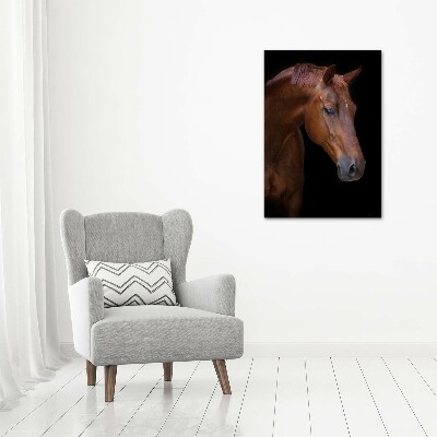 Vászonkép Portré egy ló