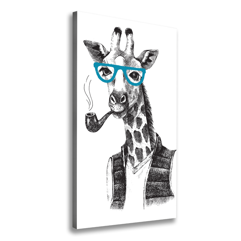 Vászonkép Zsiráfok szemüveg