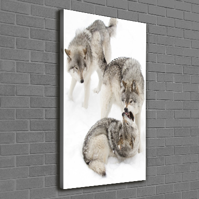 Vászonkép Szürke farkasok